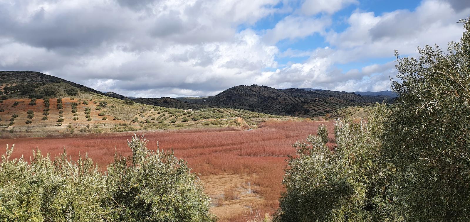 Cortijos, fuentes y manantiales