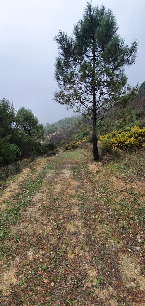 Los caminos del agua