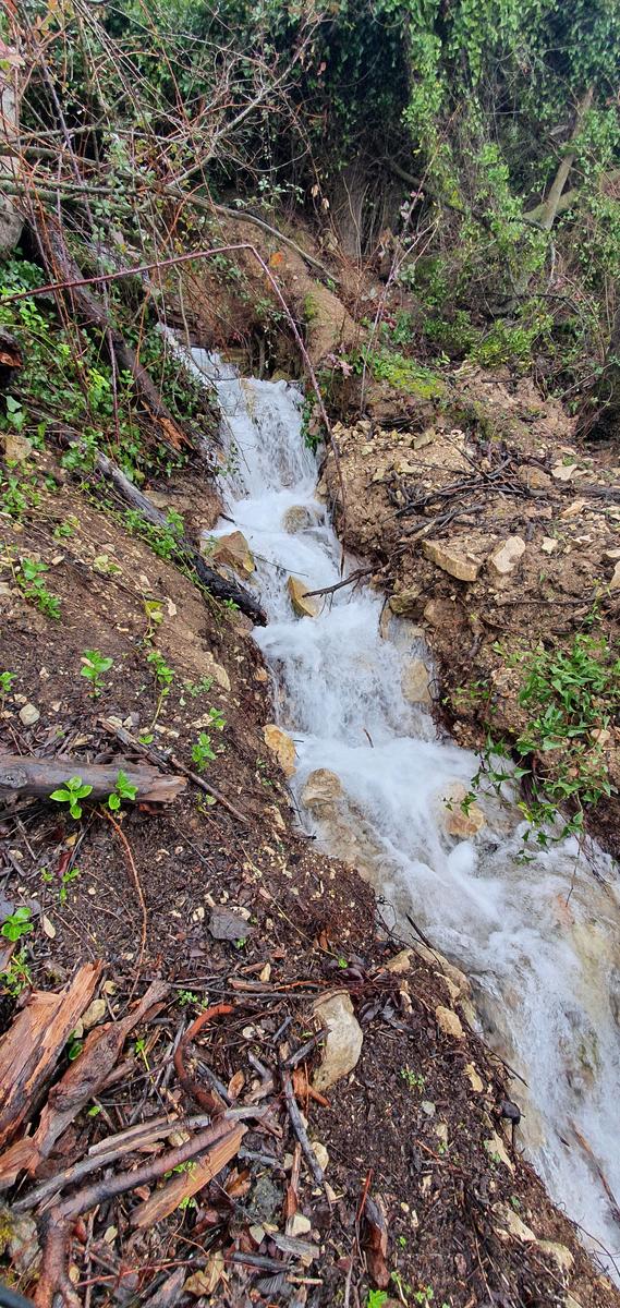 Los caminos del agua