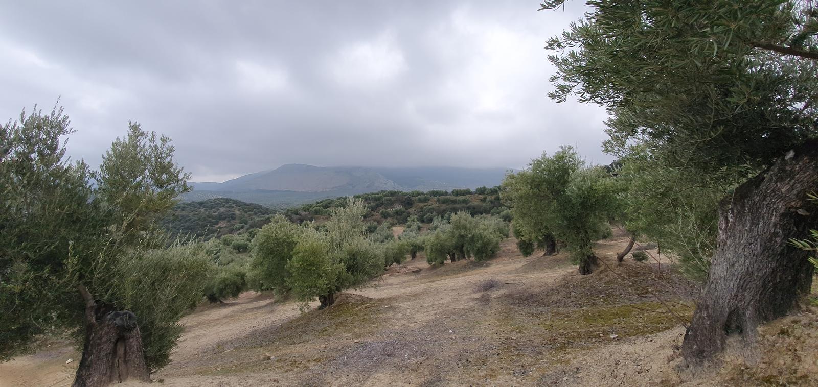 Vía Verde – Pontezuela