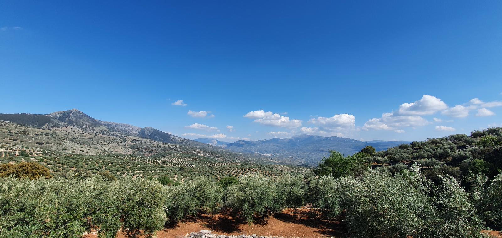 Martos-Sierra la Grana