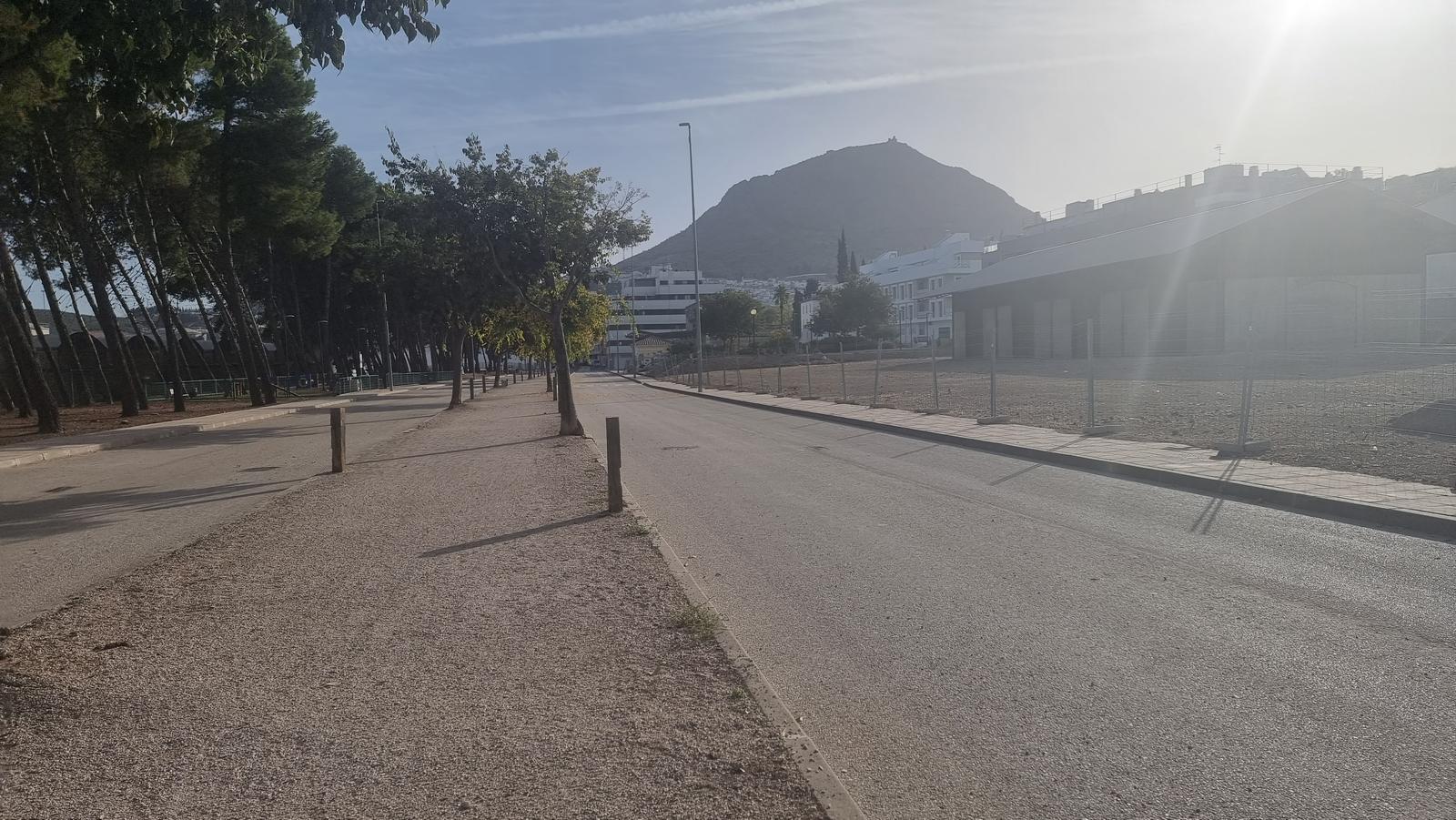 via verde del aceite – Martos- catedral