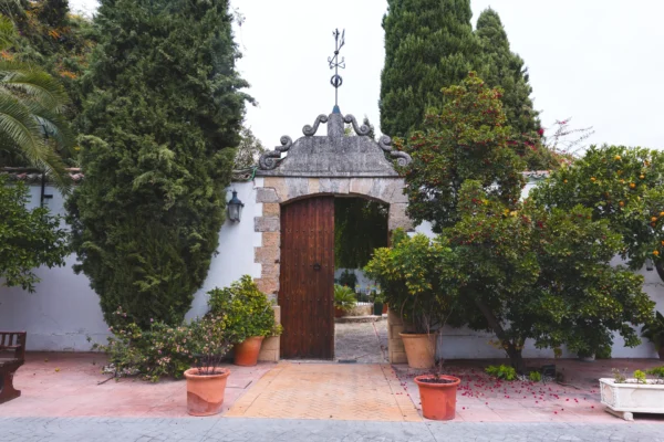 Madroño-Cortijo-29